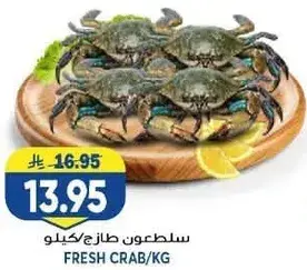 سلطعون طازج كيلو