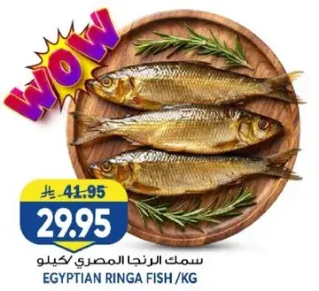 سمك الرنجه المصري كيلو.