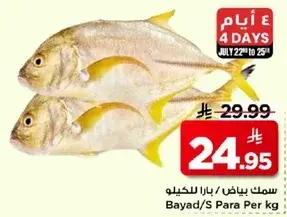 سمك ابيض / بارا للكيلو