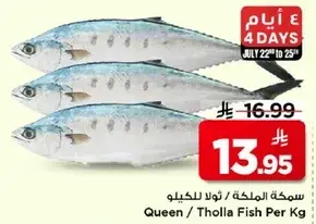 سمكه المملحه / ثولا للكيلو