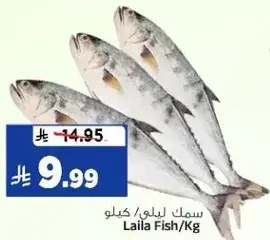 سمك ليلي /كيلو