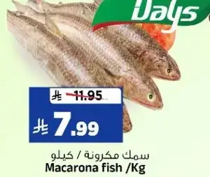 سمك مكرونه /كيلو