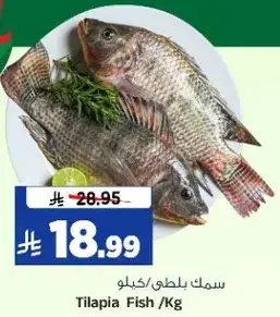 سمك بلطي / كيلو