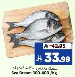 سمك دنيس 300-400 / كيلو