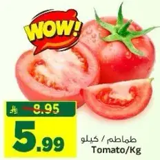Tomato / Kg