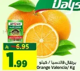 برتقال فالنسيا / كيلو