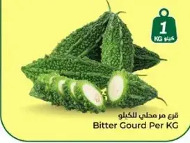 قرع مر للكيلو