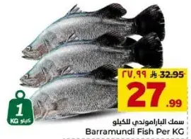 Barramundi Fish Per KG