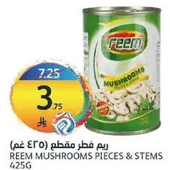 Reem Mushrooms Pieces & Stems 425g