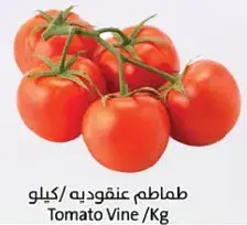 طماطم عنقوديه / كيلو
