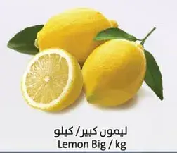 Lemon Big / Kg
