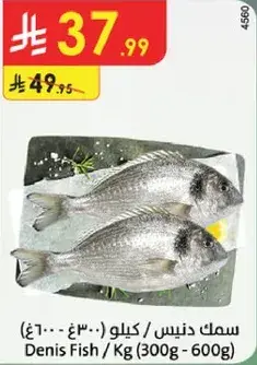 Denis Fish / Kg (300g-600g)