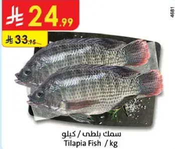 سمك بلطي / كيلو
