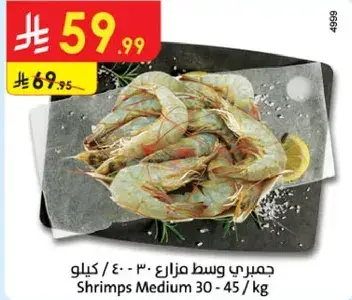 جمبري وسط مزارع 30 - 40 / كيلو