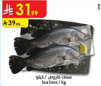 سمك قاروص / كيلو