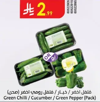 فلفل اخضر / خيار / فلفل رومي اخضر (صحن)