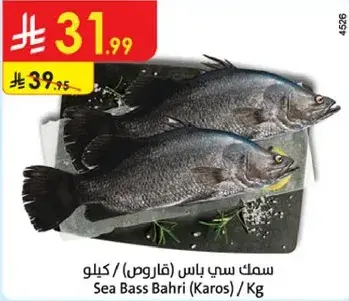 سمك سي باس (قاروص) / كيلو