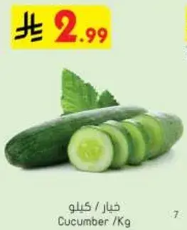 Cucumber per Kg