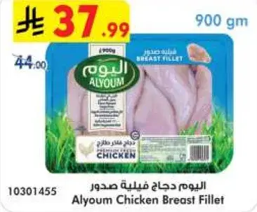 صدور دجاج اليوم
