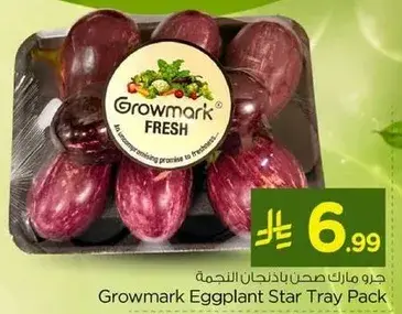 جرو مارك باذنجان نجمه