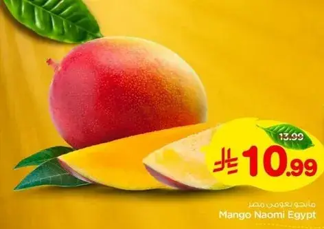 Mango Naomi Egypt