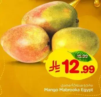 Mango Mabrooka Egypt
