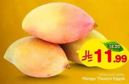 Mango Thoomi Egypt