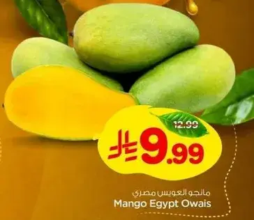 مانجو العويس مصري