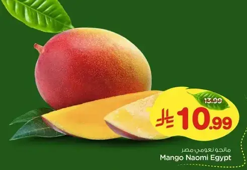 Mango Naomi Egypt