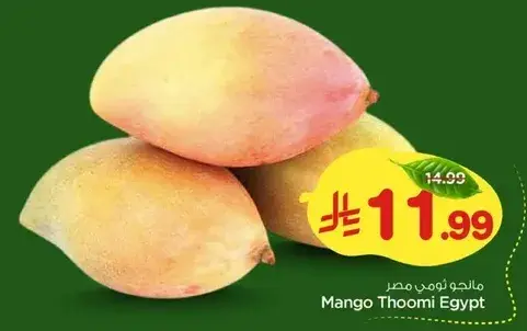 Mango Thoomi Egypt