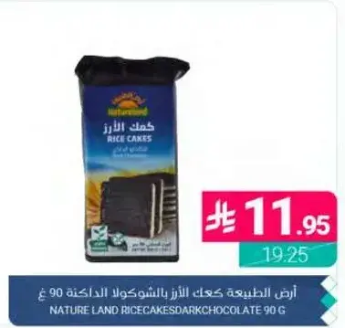 Nature Land Rice Cakes Dark Chocolate 90g