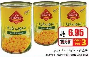 Hayel Sweetcorn 400 GM