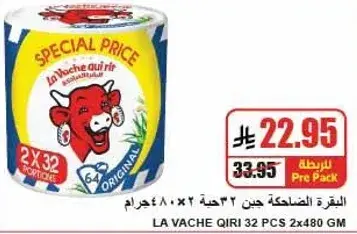 جبن لا فاش كيري 2×480 جرام