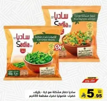 ساديامخلوطه خضار مع ذره