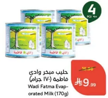 Wadi Fatma Evaporated Milk (170g)