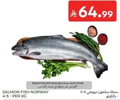سمك سلمون نرويجي 4-5 - بالكيلو