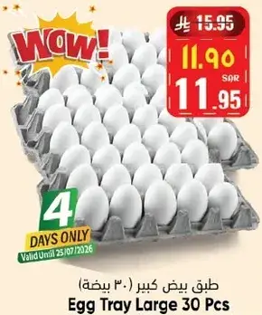 Egg Tray Large 30 Pcs