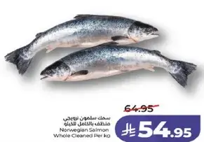 سمك سالمون نرويجي كامل نظيف