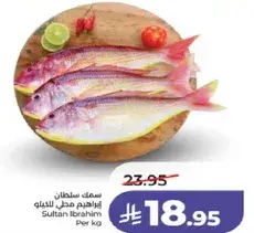 سمك سلطان ابراهيم مطحون للغداء