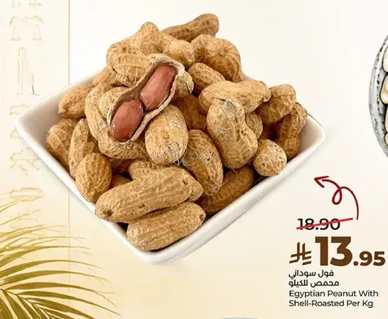 Egyptian Peanut With Shell-Roasted Per Kg
