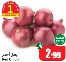 Red Onion, per kg