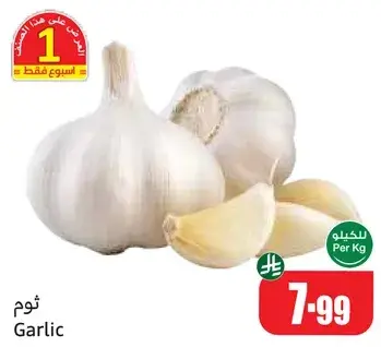 ثوم