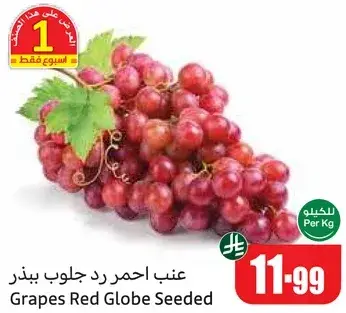 Grapes Red Globe Seeded
