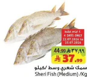 Sheri Fish (Medium)/Kg