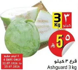قرع 3 كيلو