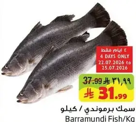 سمك برمندي / كيلو