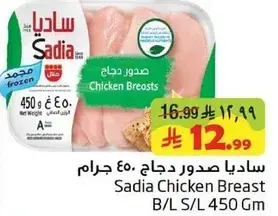 Sadia Chicken Breast B/L S/L 450 Gm