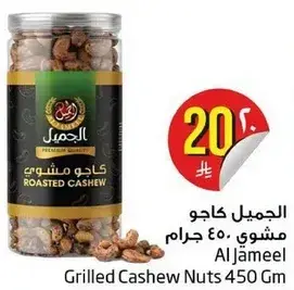 Grilled Cashew Nuts 450 Gm