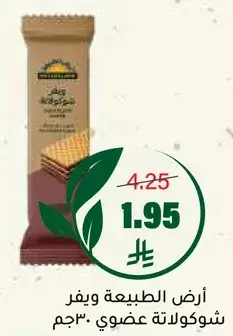 Natureland Chocolate Wafer 30 g
