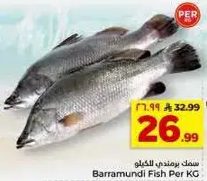 سمك برمندي بالكيلو